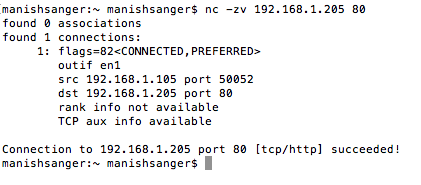 NetCat multiple port